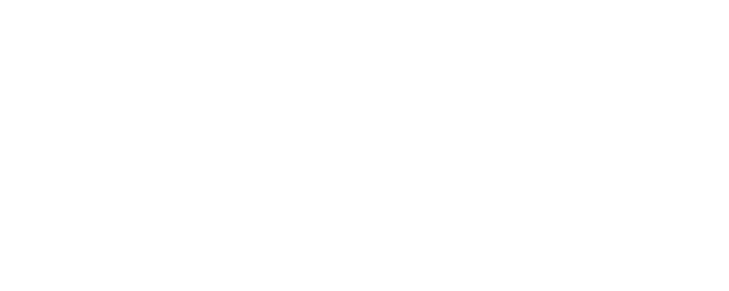 EV Politics